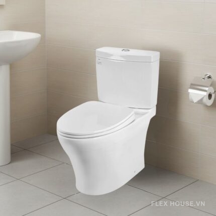 Bồn cầu 2 khối nắp đóng êm TOTO CS769DRT10