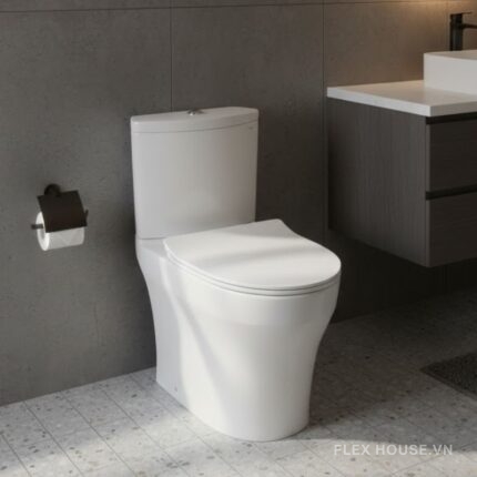 Bồn cầu 2 khối nắp đóng êm TOTO CS838DT8