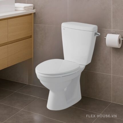 Bồn cầu 2 khối xả gạt Inax C-117VAN (3)