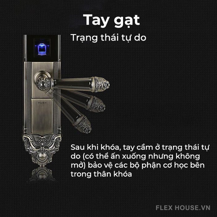 Khóa điện tử tay gạt phong cách cổ điển Kaadas 6002 26