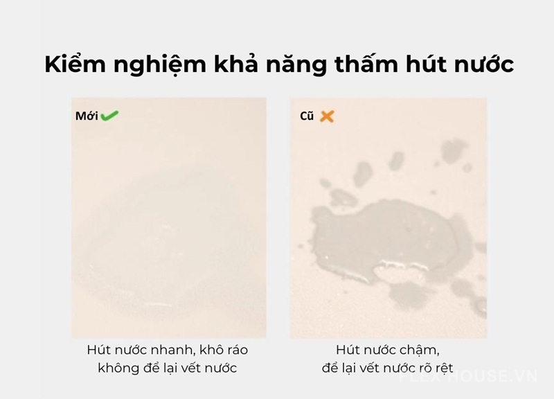Thảm tảo cát chống trượt hình thú dễ thương XF6609