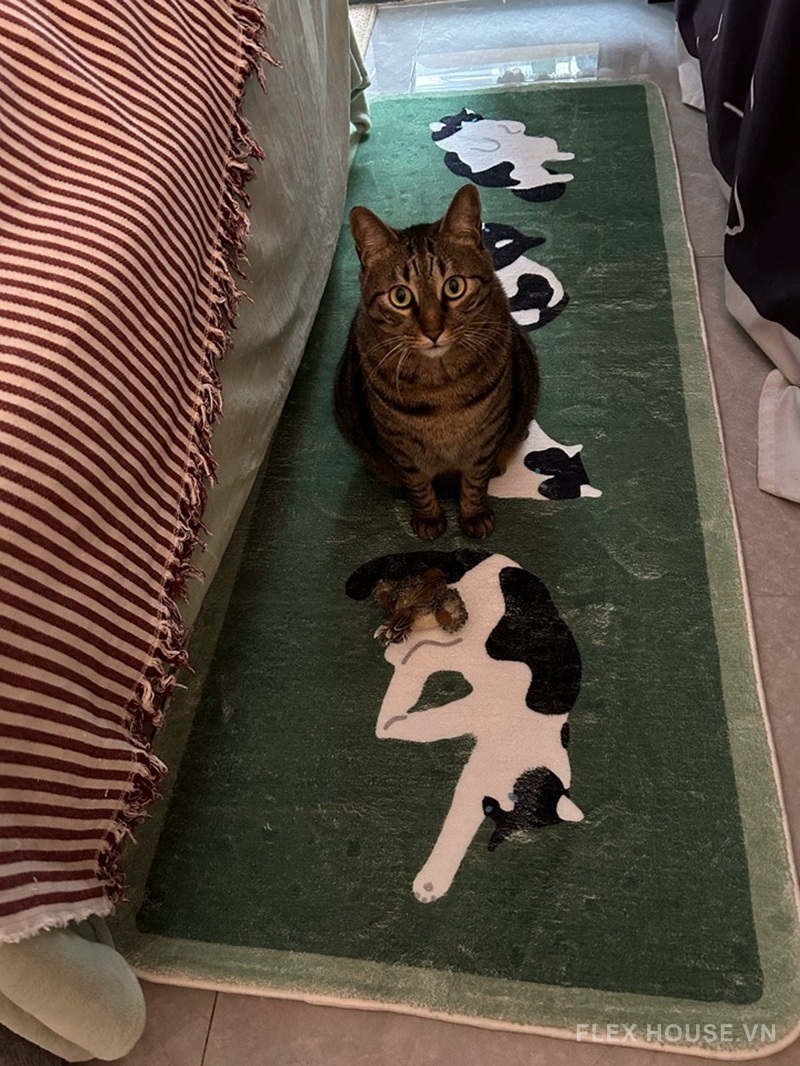 Ảnh thực tế thảm XF4484