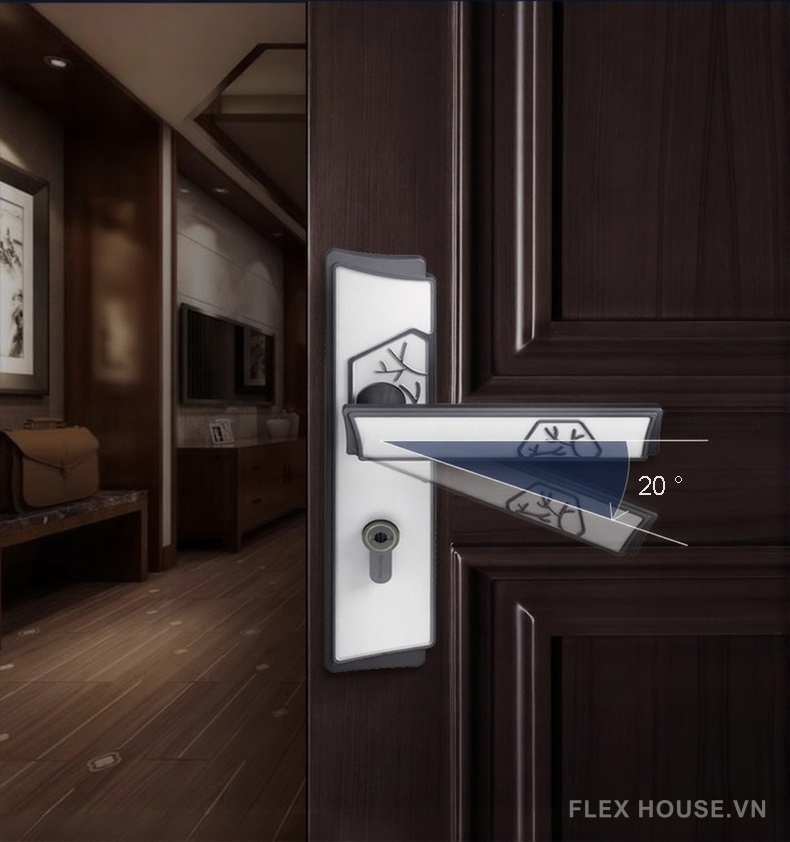 Khóa cửa tay gạt hợp kim nghệ thuật Á Đông TS879 12