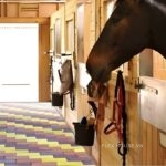 Gạch cao su hạt SBR lát sân vườn chuồng ngựa GV7938