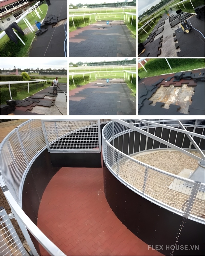 Gạch cao su hình xương chó chống trượt chịu lực GV6690