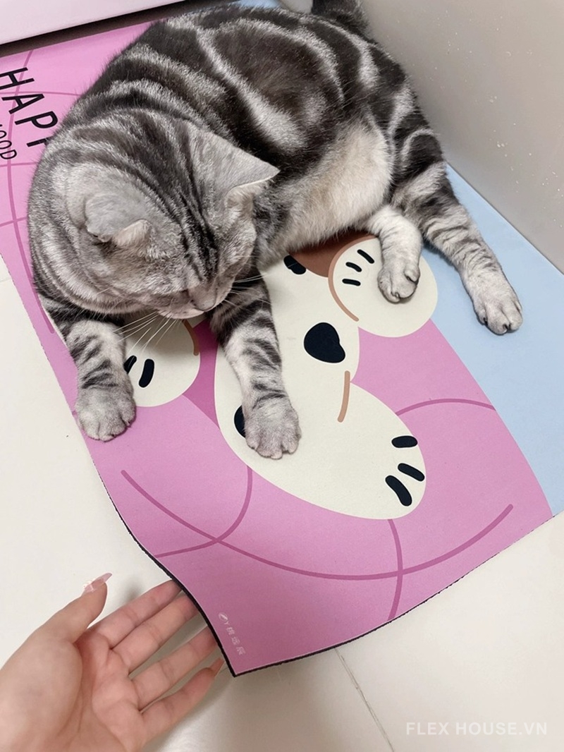 Thảm chùi chân tảo cát hình chó đốm uống trà XF3906