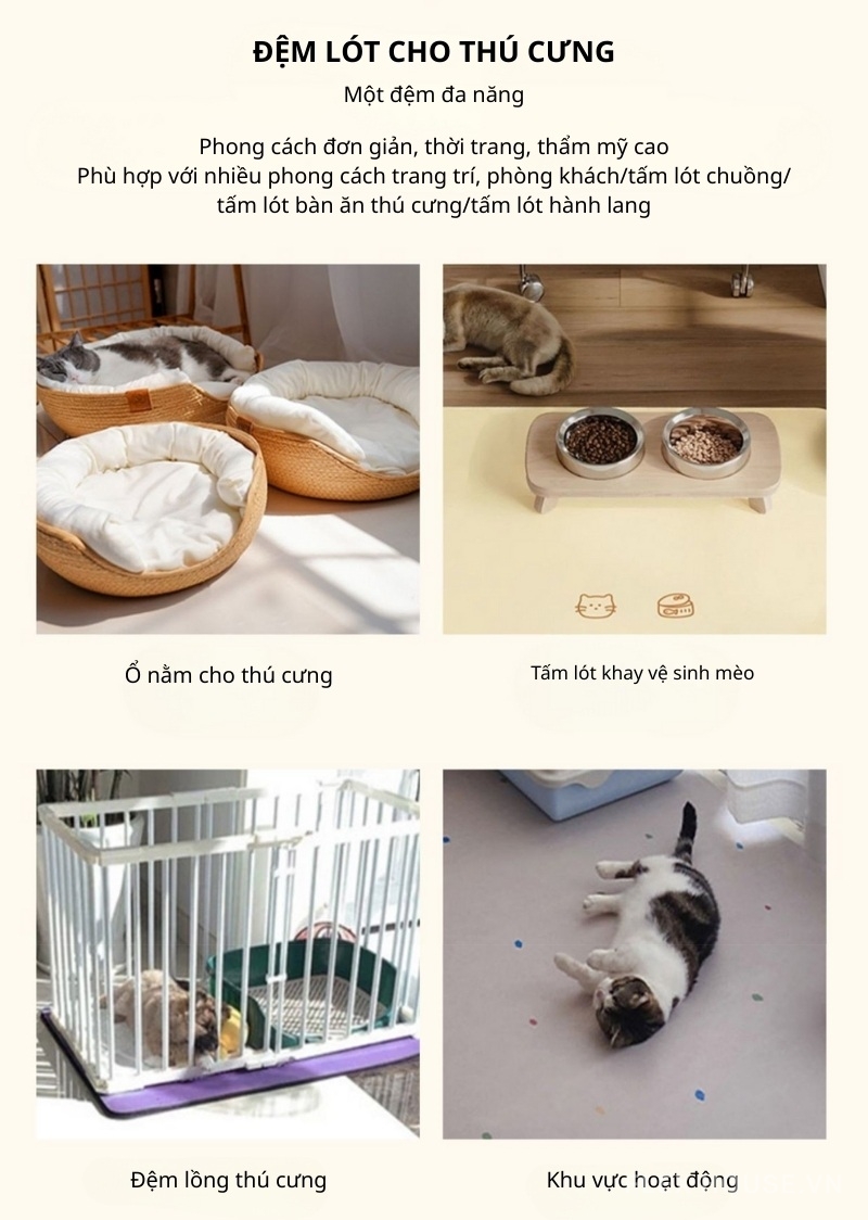 Thảm chùi chân tảo cát đế cao su chống trượt XF2010