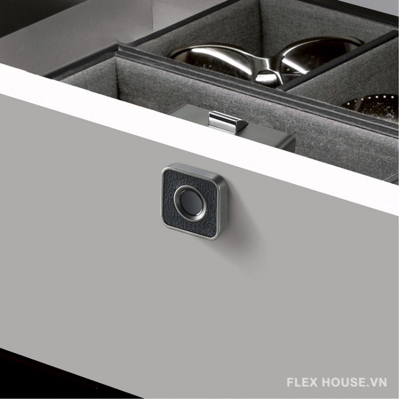 7 Lý Do Khóa Vân Tay Dẫn Đầu Xu Hướng Tủ Nội Thất 8