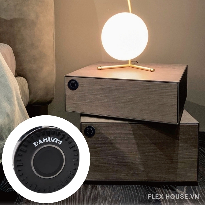 7 Lý Do Khóa Vân Tay Dẫn Đầu Xu Hướng Tủ Nội Thất 9