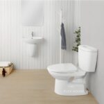 Bồn cầu 2 khối xả nhấn Inax C-306VA