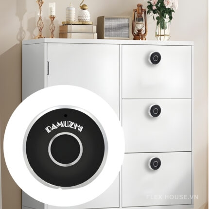 Khóa ngăn kéo tủ vân tay thông minh DMZ-1667-5Z