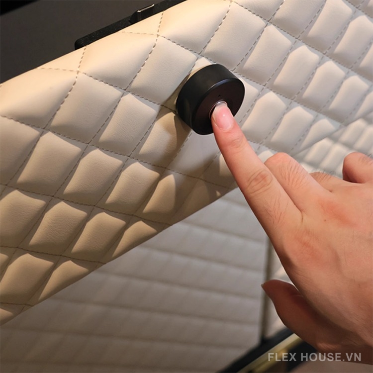 Khóa vân tay cho ngăn kéo tủ F169S 19