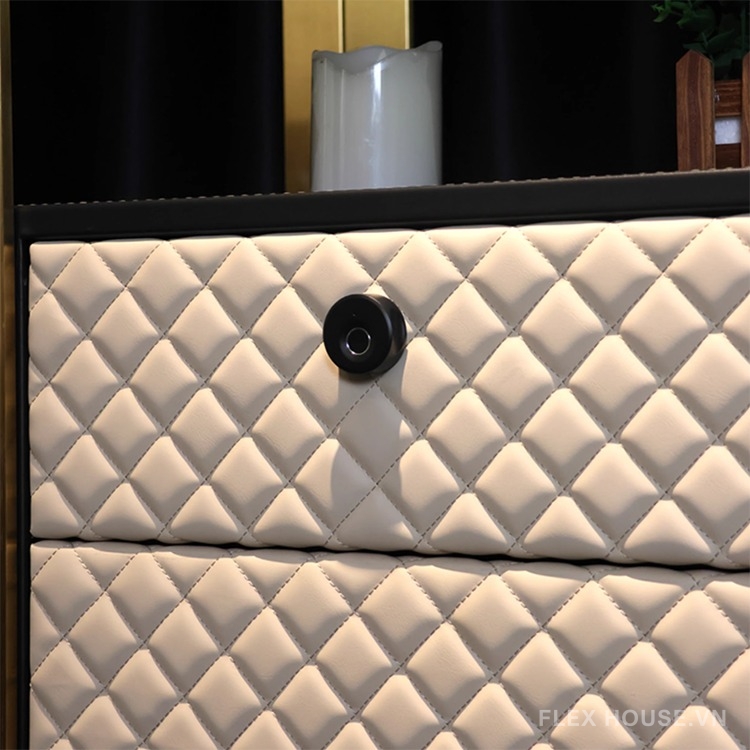 Khóa vân tay cho ngăn kéo tủ F169S 18