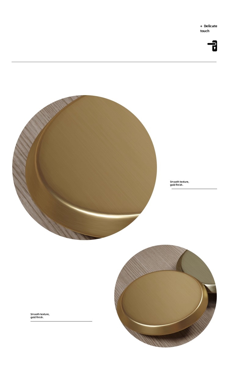 Tay nắm cửa hình tròn hợp kim nhôm A-208 13