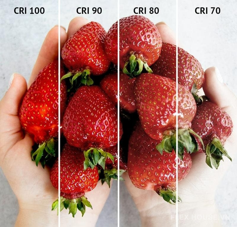 Chỉ số hoàn màu CRI là gì? Ý nghĩa chỉ số CRI của đèn 4 Minh họa sự khác biệt về chất lượng màu sắc của dâu tây khi được chiếu sáng dưới các mức chỉ số hoàn màu CRI khác nhau