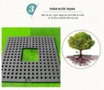 Đệm cao su bảo vệ cây thấm nước chống trơn trượt GV57