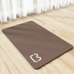 Thảm tảo cát chùi chân cửa ra vào đơn sắc XF1483.01