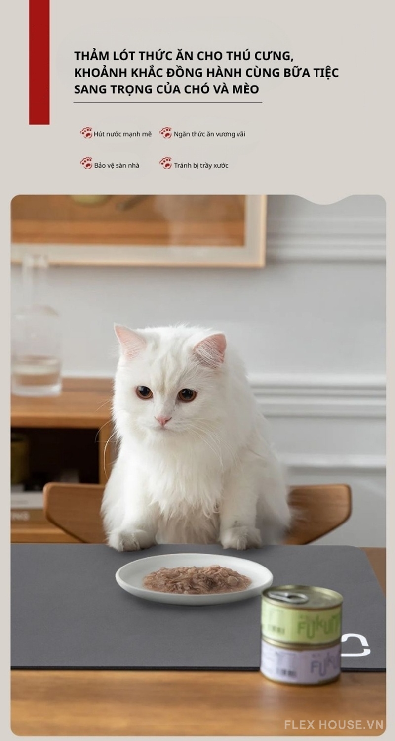 Thảm tảo cát chùi chân cửa ra vào đơn sắc XF1483