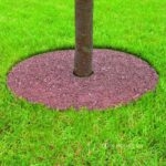 Vòng đệm cao su phủ gốc cây ngăn cỏ dại GV194