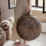 Ghế đôn phòng khách cao cấp phong cách Ý DF7356