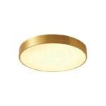 Đèn ốp trần bằng đồng ánh sáng 3 màu OD02