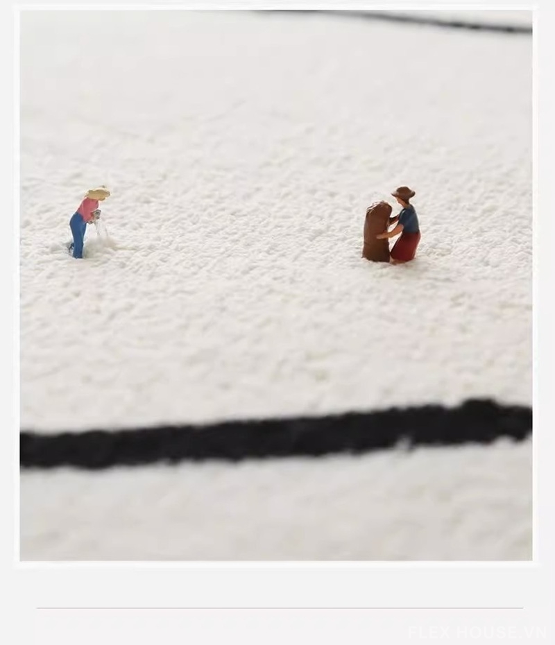 Thảm trải phòng ngủ chữ Graphic hiện đại JX5707 4 Thảm trải phòng ngủ chữ Graphic hiện đại JX5707