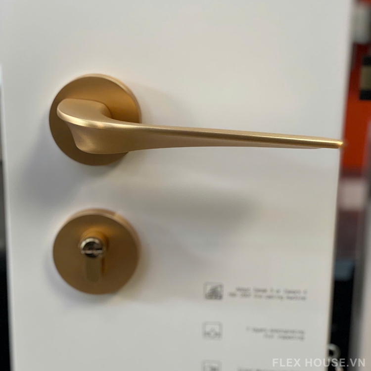 Khoá cửa phân thể tay gạt phòng ngủ Taura D72Z203 8 Khoá cửa phân thể tay gạt phòng ngủ Taura D72Z203 14