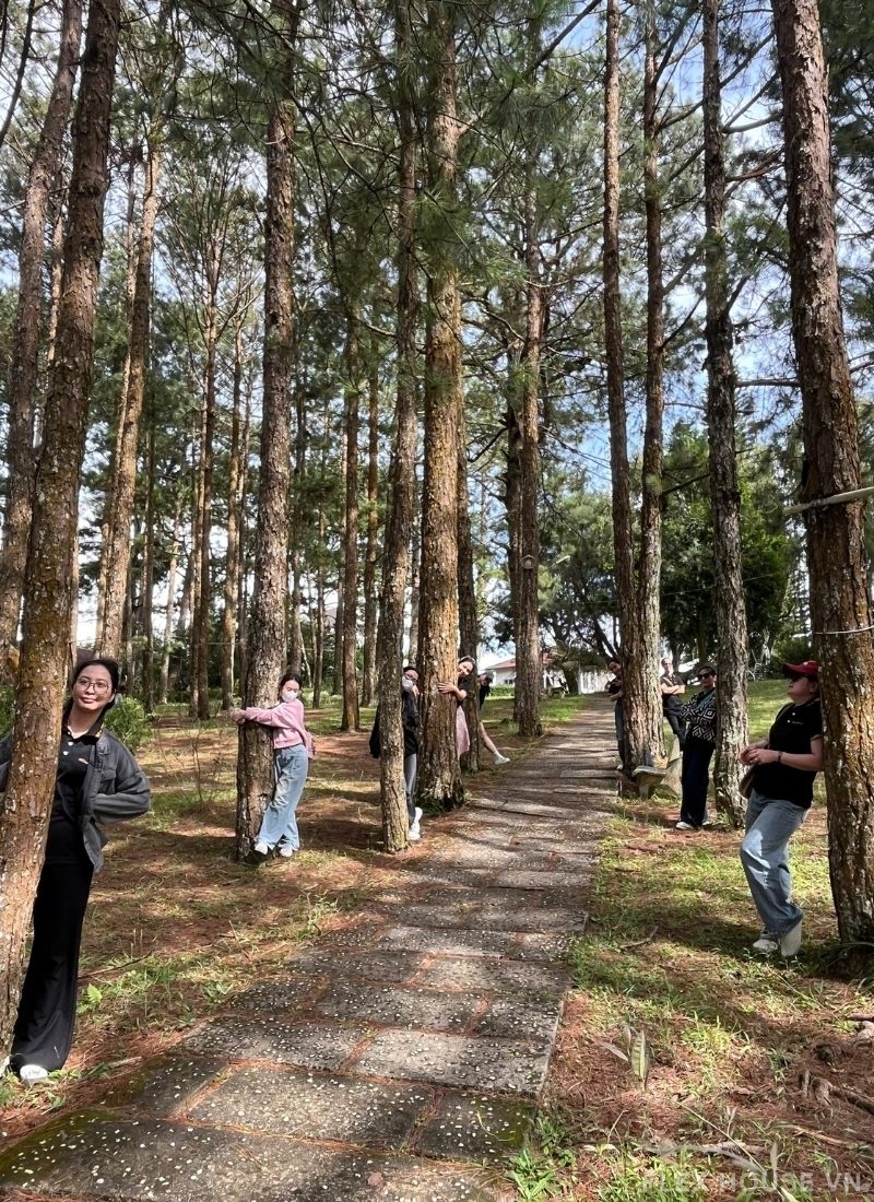 Flexhouse Team Building Đà Lạt 2025 7 Flexhouse Team Building Đà Lạt 2025 6