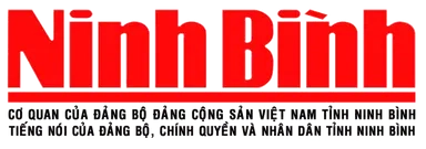 Đột phá trong thiết kế nội thất với phụ kiện tủ quần áo thông minh Flexhouse VN